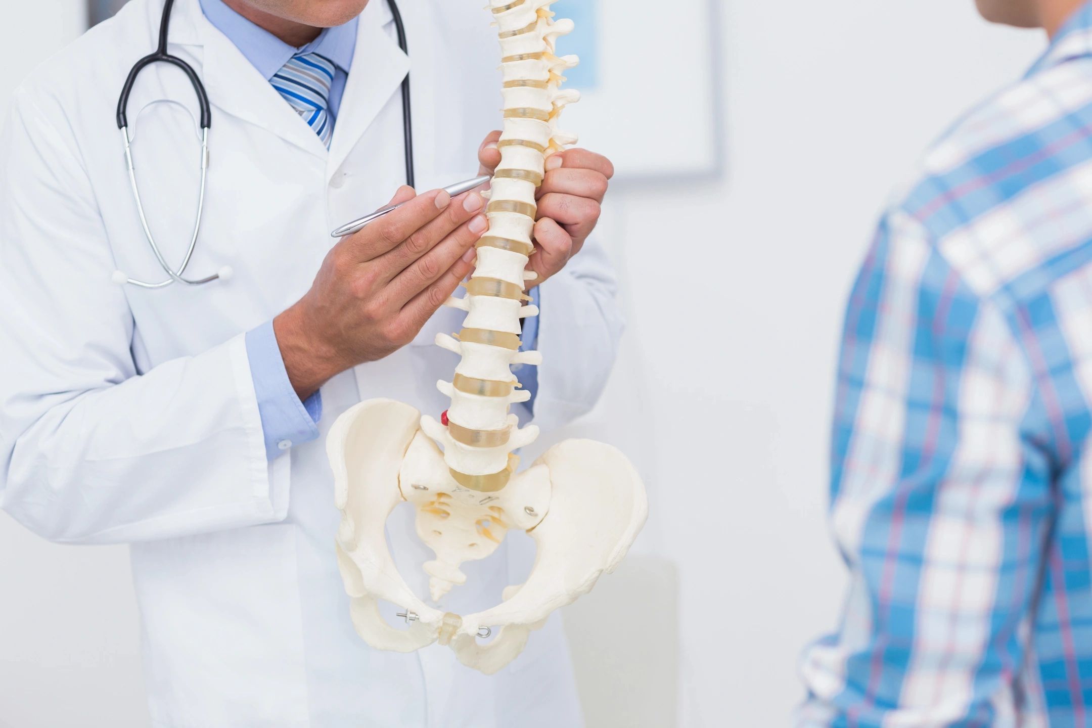 Doctor explaining spine model